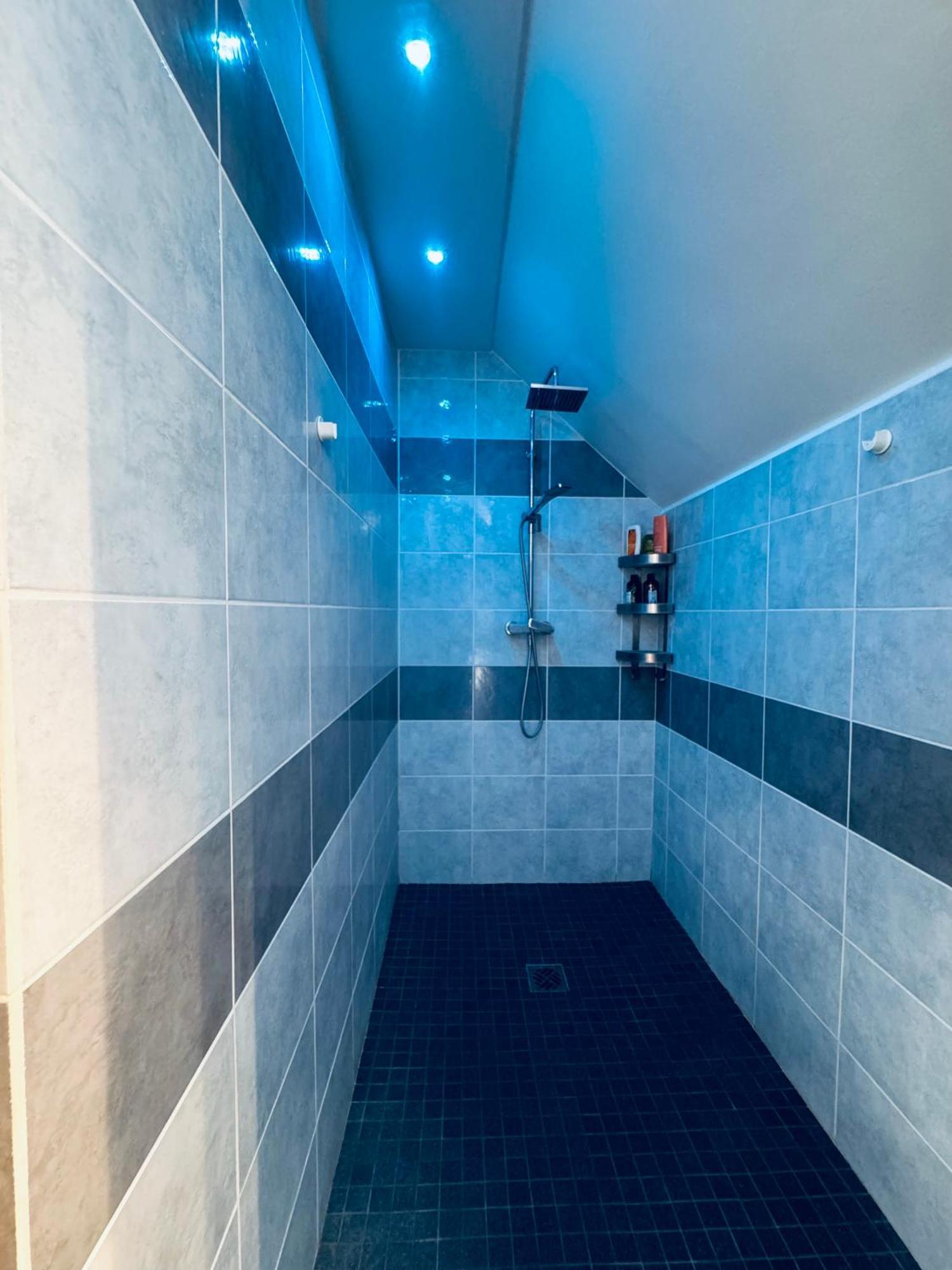 Maison Entiere Zen Avec Sauna Ronchin Buitenkant foto
